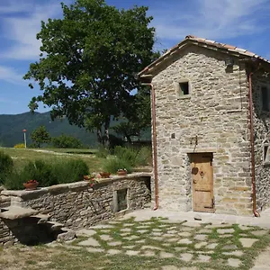 I Poggi Di Belvedere , Cerbaiolo Italia